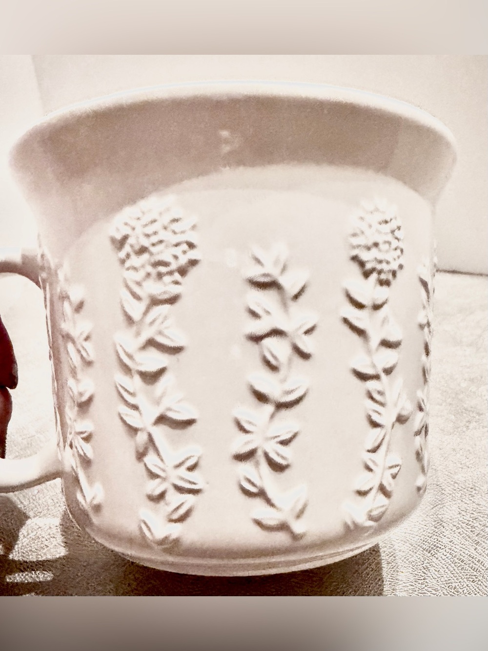 Nantucket White Embossed Botanical Ceramic Oversized Mug/Cup.